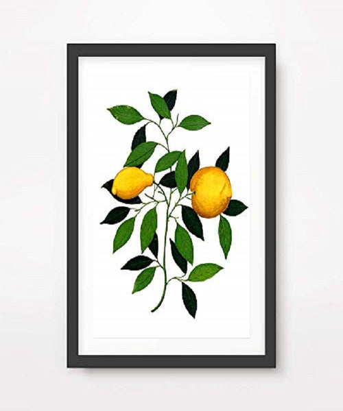 LEMONS BOTANICAL FRUIT ART